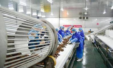 科技賦能鮮味體驗 每日優鮮小龍蝦節開啟，超聲技術驅動生鮮開發新篇章